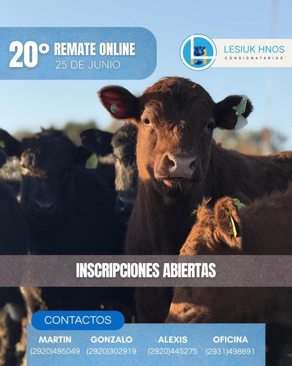 20º Remate por Internet