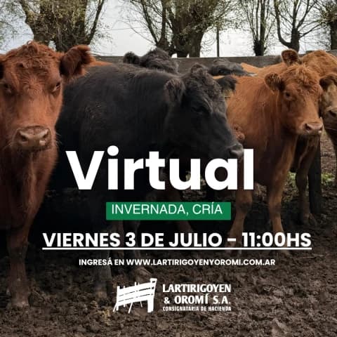138° REMATE VIRTUAL - Invernada, Cria y Faena de Exportación