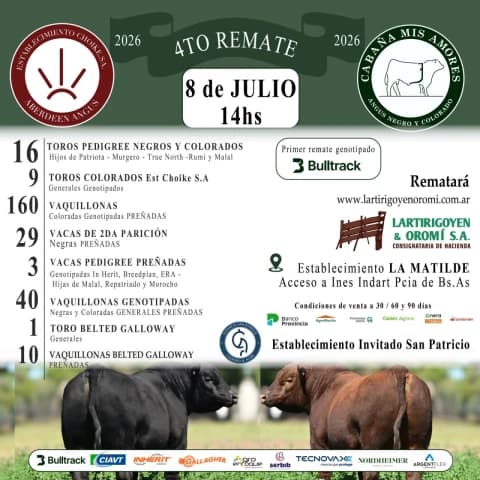 4°. Remate CHOIKE - MIS AMORES
