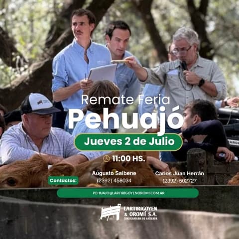 Remate Feria Soc. Rural de Pehuajó