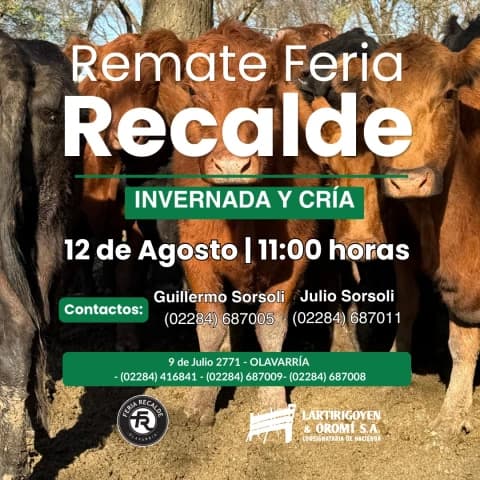 Remate Feria RECALDE - Gordo, Invernada y Cria