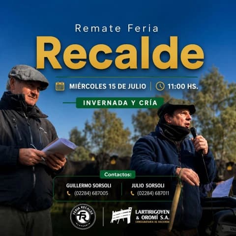 Remate Feria RECALDE - Gordo, Invernada y Cria