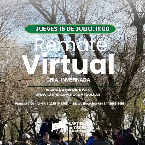 139° REMATE VIRTUAL - Invernada, Cria y Faena de Exportación