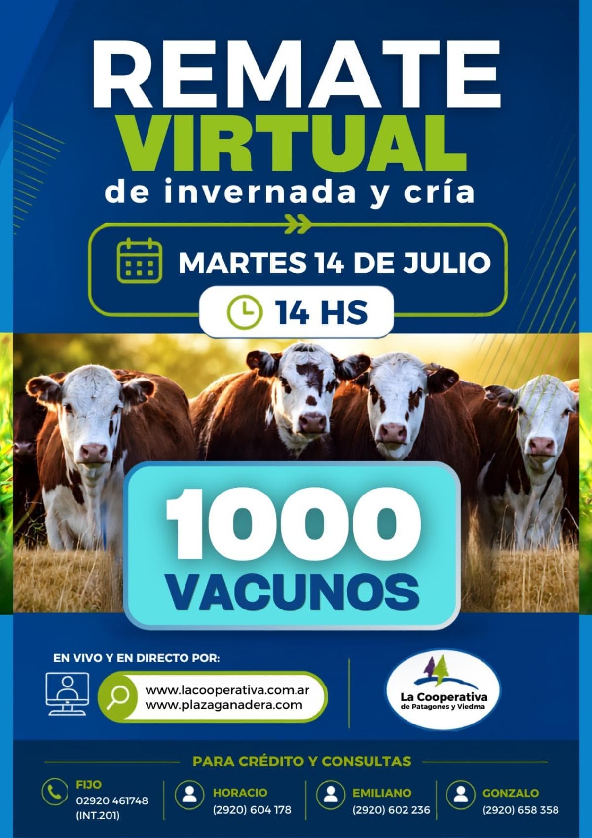 54º Remate por Internet