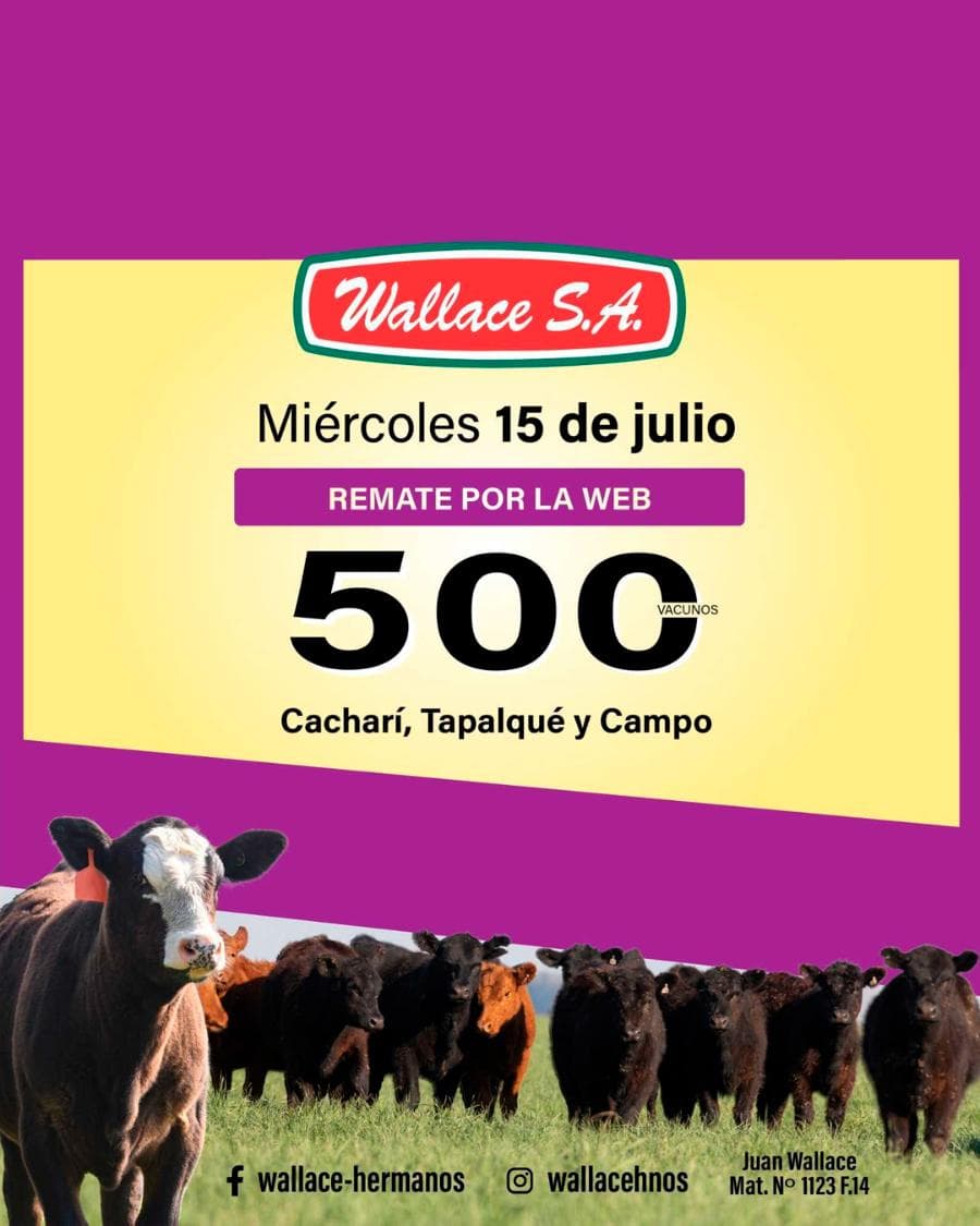 70º Remate por Internet