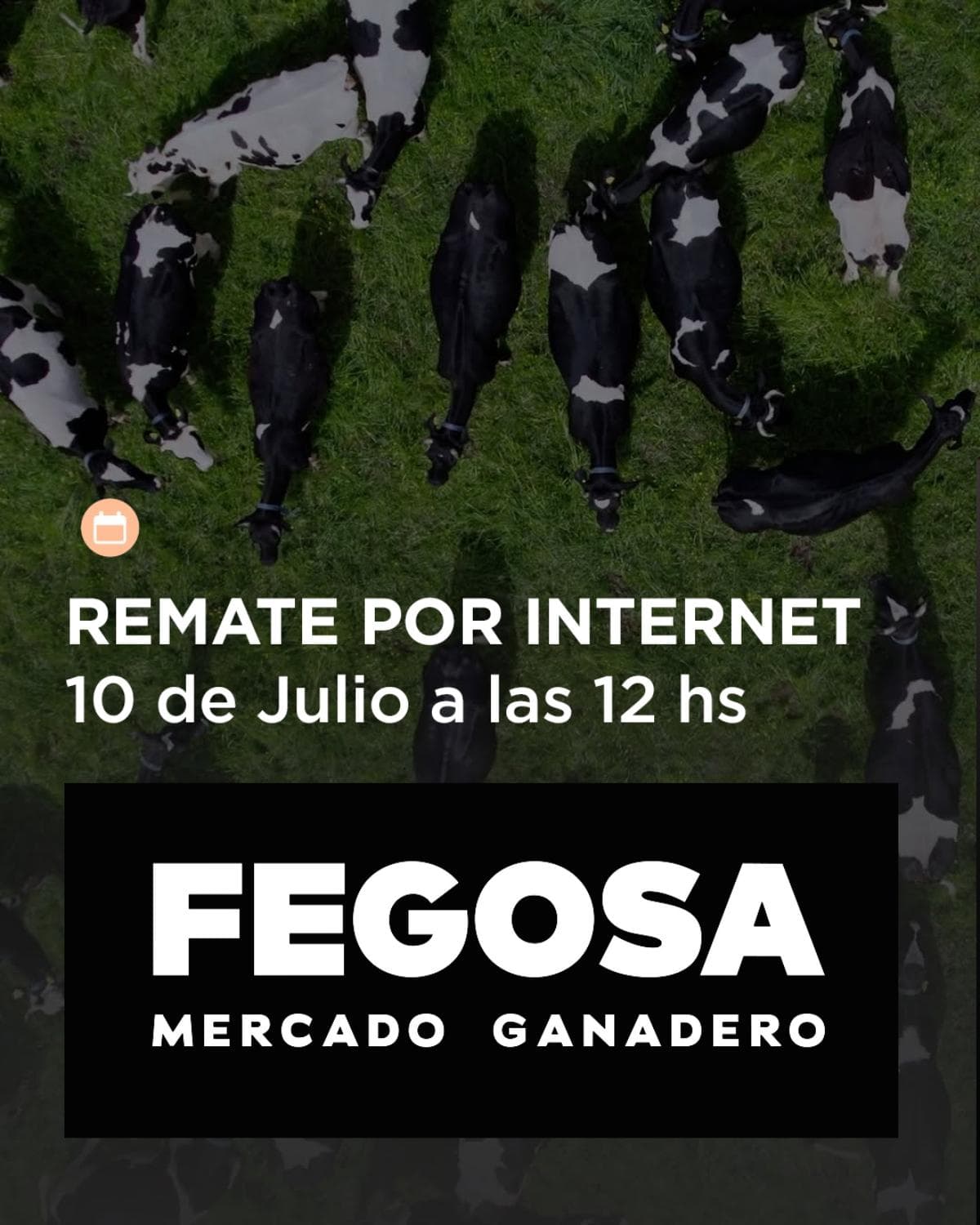 Remate por Internet